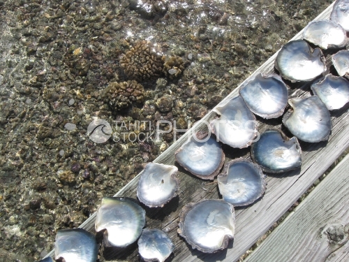 Ornements on wood deck, Décorations sur un ponton
