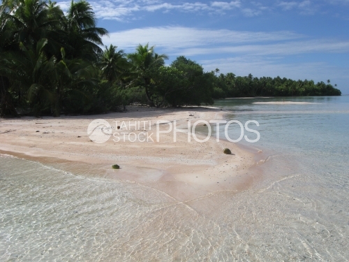 Pink Sand Beach, Plage de sable rose