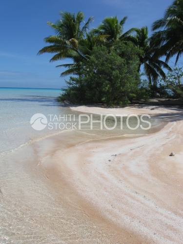 Pink Sand Beach, Plage de sable rose