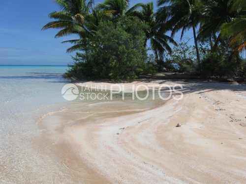 Pink Sand Beach, Plage de sable rose
