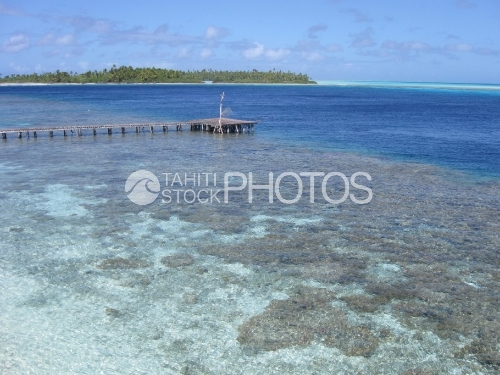 Wood Deck on the lagoon, Ponton de bois sur le lagon