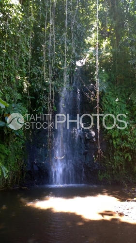 Waterfall of Vaipahi garden