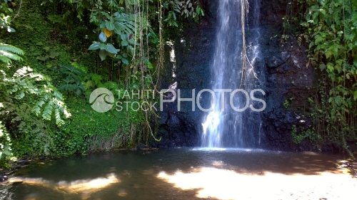 Waterfall of Vaipahi garden
