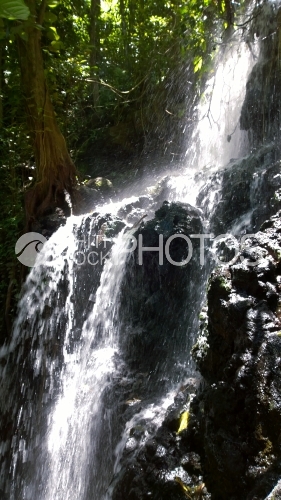 Waterfall of Vaipahi garden
