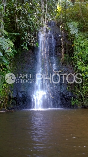 Tahiti, waterfall in the middle of forest