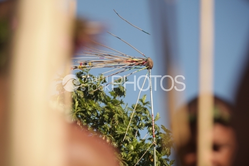 Target of traditionnal spearing