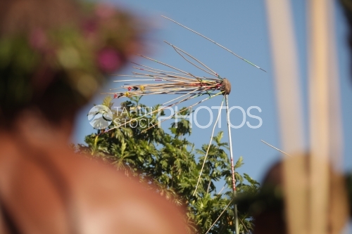 Young man focusing on javelin target , Heiva traditional sport competition