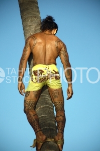 Tahitian climbing on coconut tree, Heiva