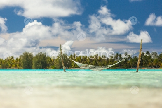Bora Bora, Hammock in the middle of the lagoon, island and coconut trees in the background