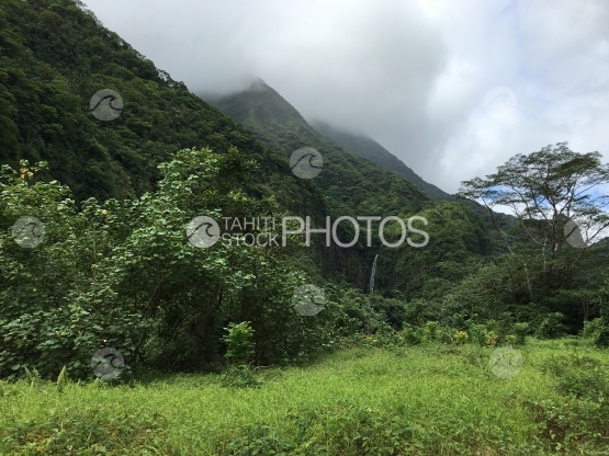 Landscape of the Papenoo valley and waterfall
