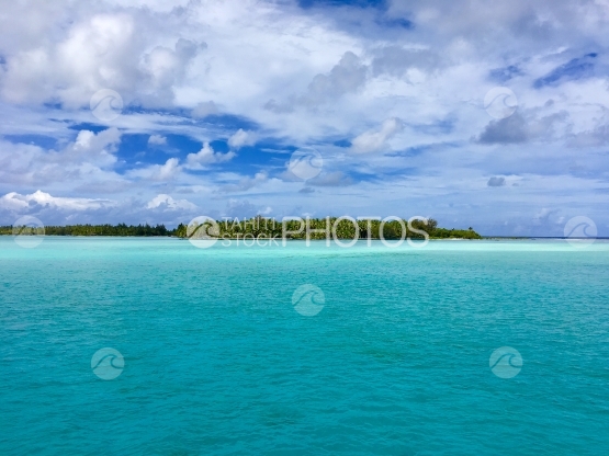 Motus in the beautiful lagoon of Bora Bora