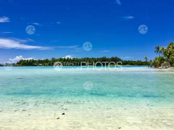 Motus in the beautiful lagoon of Bora Bora