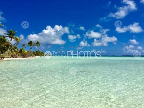 Lagoon of Tetiaroa, Beach of Motu Rimatu