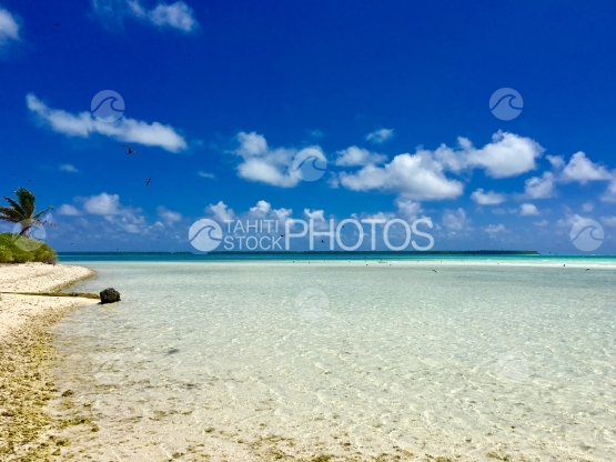 Tetiaroa, Beach of Motu Rimatu
