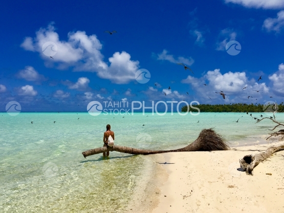 Young lady sitting on a palm tree, surrounded by flying birds