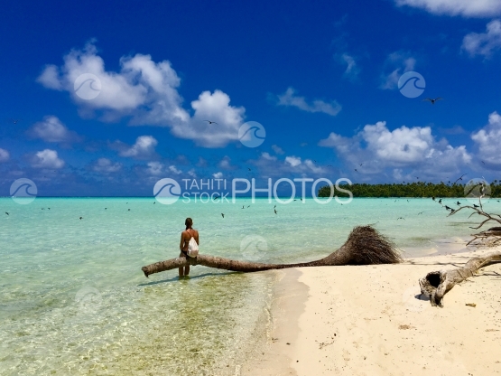 Young lady sitting on a palm tree