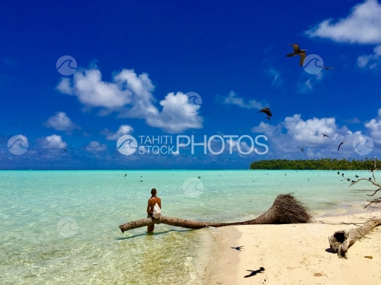 Young lady sitting on a palm tree, surrounded by birds flying