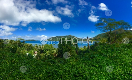 Vegetation and lagoon at Huahine
