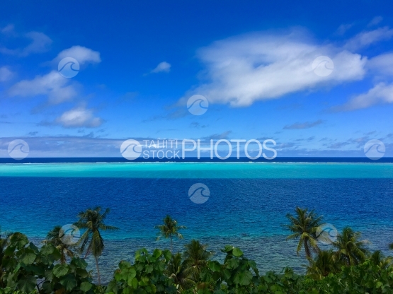 Huahine, view on the blue lagoon over the coconut trees plantation