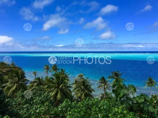 Huahine, view on the blue lagoon over the coconut trees plantation