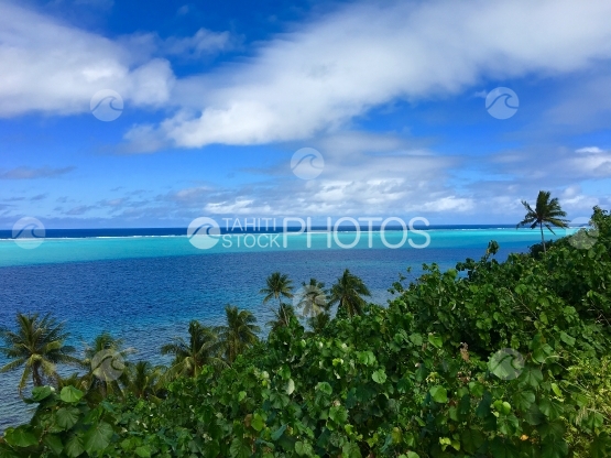 Huahine, view on the blue lagoon over the coconut trees plantation