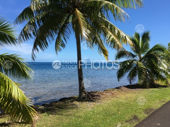 Typical street scenery along the coastline of Tahaa