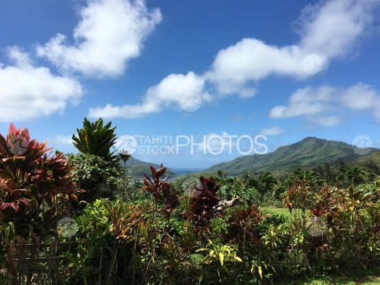 Typical landscape on Tahaa