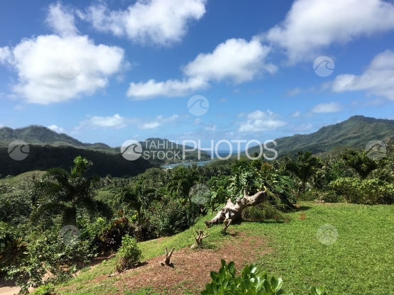 Typical landscape on Tahaa