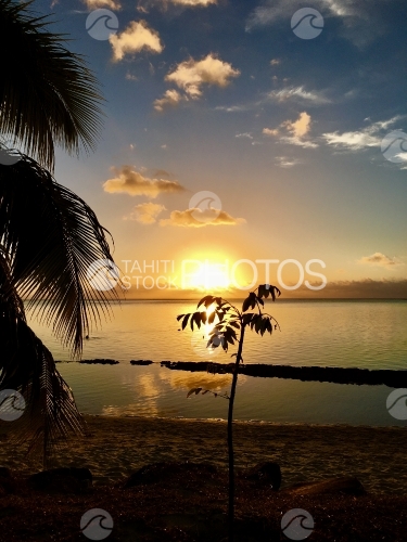 Moorea, sunset along the lagoon