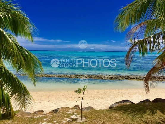 Moorea, seashore and white sand beach near the lagoon