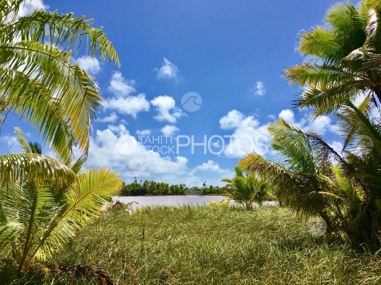Motu Rimatuu in the lagoon of Tetiaroa