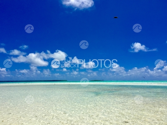 Birds flying over the Turquoise water of the lagoon of Tetiaroa