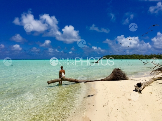 Young lady sitting on a dead palm in the lagoon of Tetiaroa