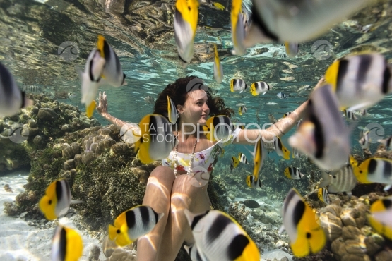 Butterfly fish gathering around a woman, free diving in Bora-bora