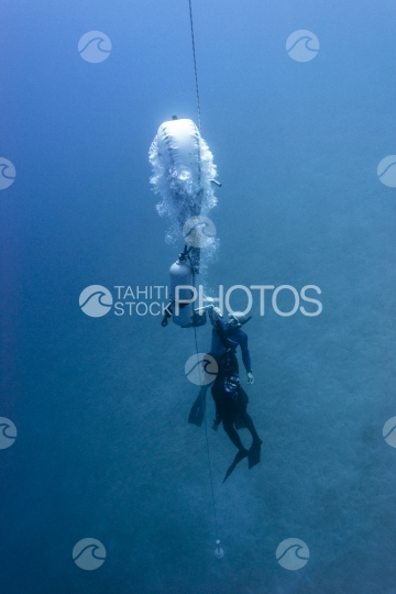 Two Free divers coming back from depth, ocean