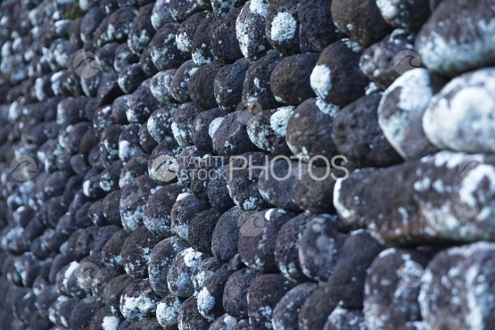 Tahiti, marae Arahurahu of Paea