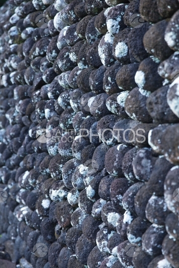 Tahiti, marae Arahurahu of Paea