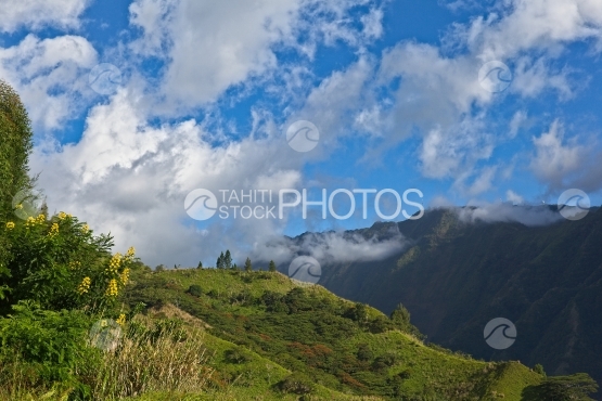 Tahiti, mountain shot from le Belvédère