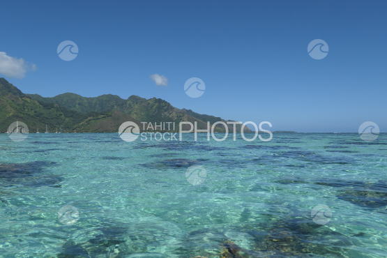 Coast line of Moorea