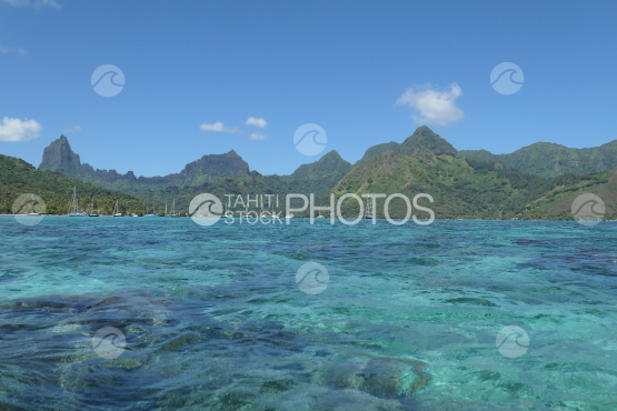 Coast line of Moorea