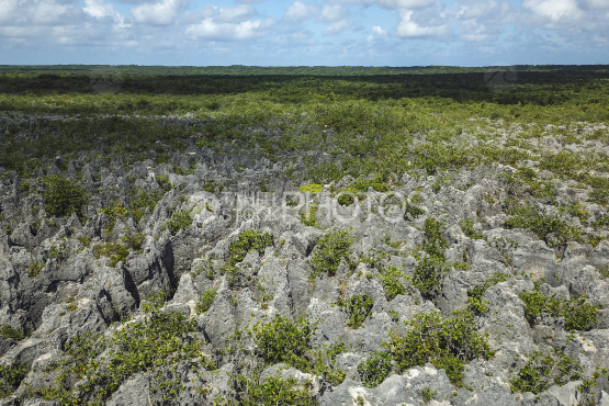 Makatea, aerial shot of the island