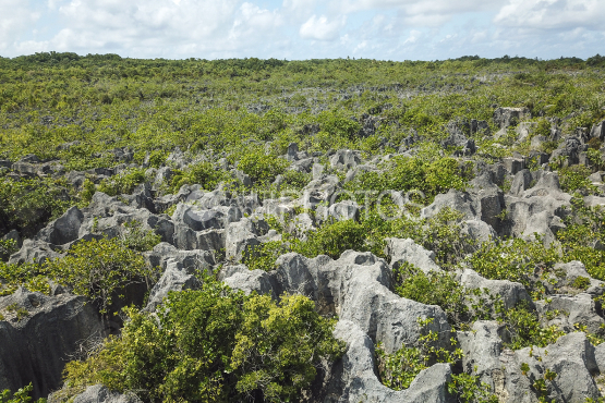 Makatea, aerial shot of the island