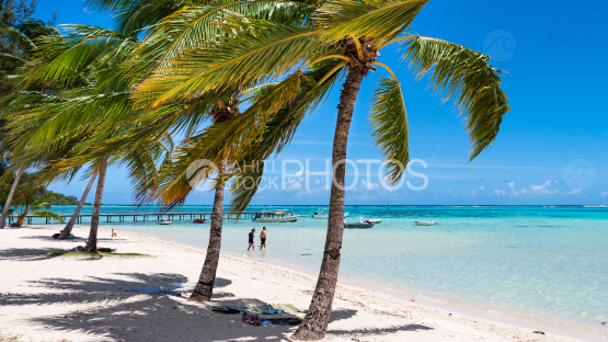 Moorea, View from the beach at les tipaniers