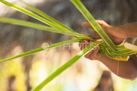 Braiding coconut leaf by polynesian, Bora Bora