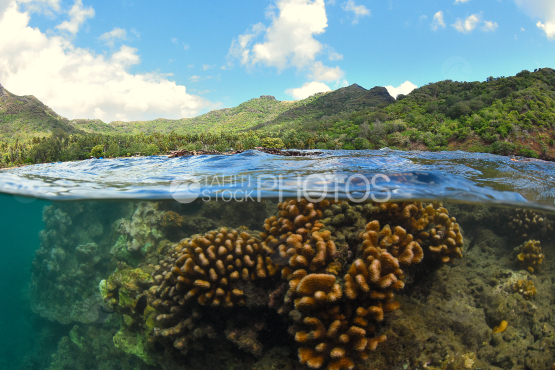 wild beach of anaho, nuku hiva 