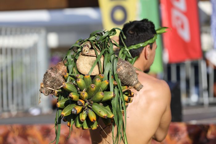 Fruits carrier, Traditional race, Tuaro, Polynesia