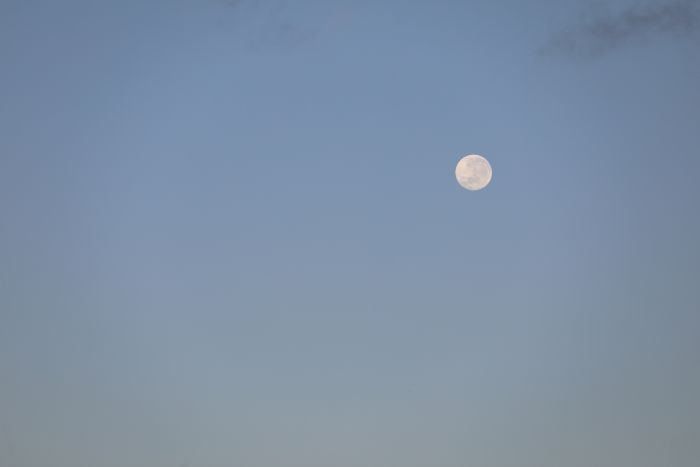 Full moon in the Polynesian sky
