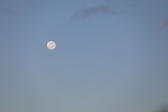 Full moon in the Polynesian sky, Tahiti