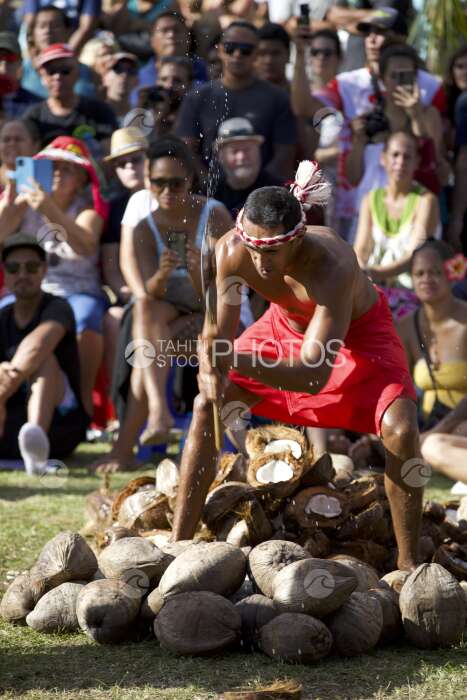 Traditional polynesian sports contest, Coconut shelling, Tahiti, French Polynesia