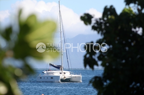 Catamaran sailing Near islands, Voilier Navigant Entre les Iles